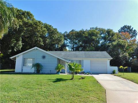 12100 Longstrap Ln, Hudson, FL 34667 photo 1
