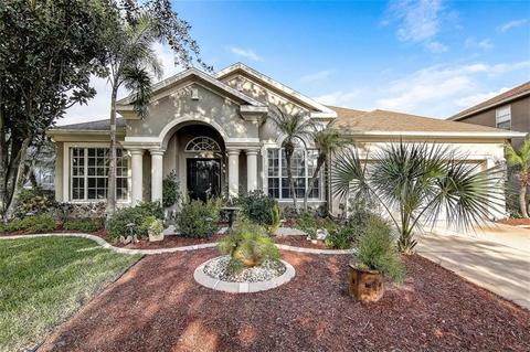 9010 Pinebreeze Dr, Riverview, FL 33578 photo 1
