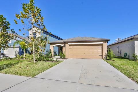 12738 Lemon Pepper Dr, Riverview, FL 33578 photo 1
