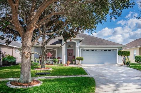 11213 Denmore Ln, Riverview, FL 33579 photo 1