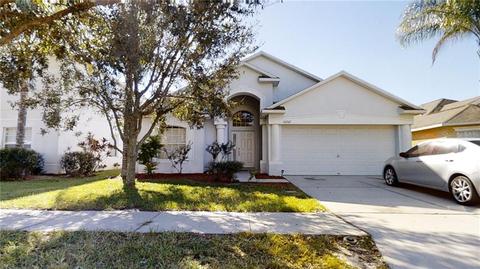 10742 E Shady Preserve Dr, Riverview, FL 33579 photo 1