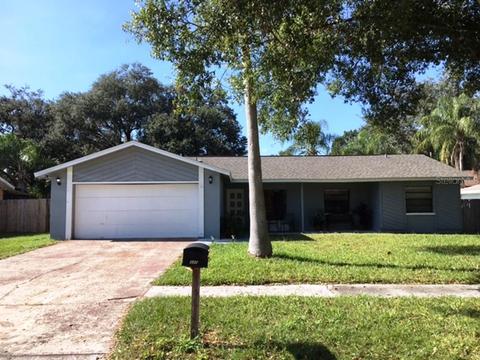 3206 Acapulco Dr, Riverview, FL 33578 photo 1