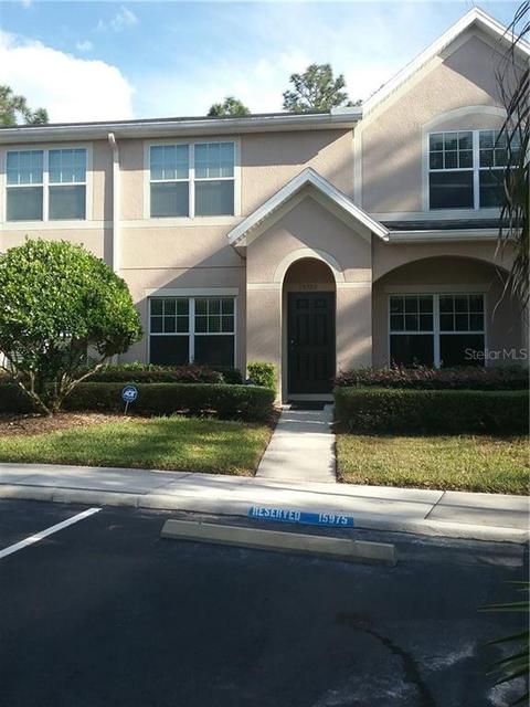 15979 Fishhawk View Dr, Lithia, FL 33547 photo 1