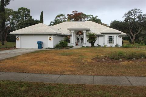 12403 Everard Dr, Spring Hill, FL 34609 photo 1