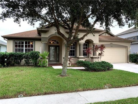 11407 Newgate Crest Dr, Riverview, FL 33579 photo 1
