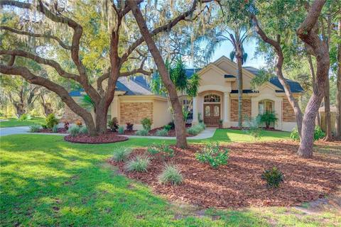 12602 Silver Pine Dr, Riverview, FL 33569 photo 1