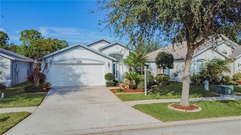 11110 Silver Dancer Dr, Riverview, FL 33579 photo 1