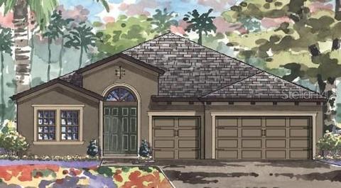 12709 Hammock Park Dr, Riverview, FL 33579 photo 1