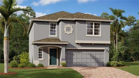 2208 Mountain Pine St, Ocoee, FL 34761 photo 1