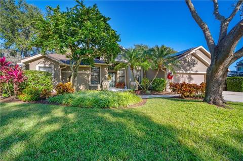 2318 Eagle Bluff Dr, Valrico, FL 33596 photo 1