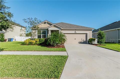 12209 Streambed Dr, Riverview, FL 33579 photo 1