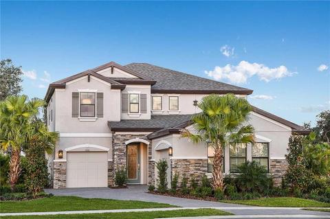 13110 Sessile Shore Loop, Riverview, FL 33579 photo 1