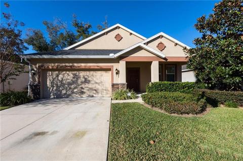 3003 Florida Elm Pl, Seffner, FL 33584 photo 1