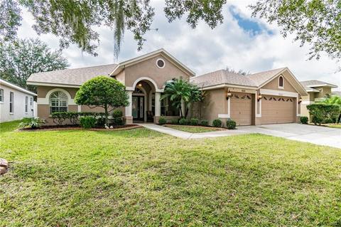 7222 Bucks Ford Dr, Riverview, FL 33578 photo 1
