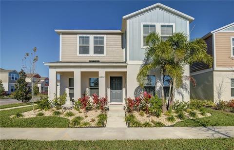 12802 Crested Iris Way, Riverview, FL 33579 photo 1