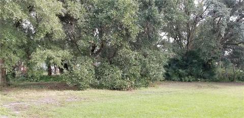 14209 Shady Stream Dr, Dover, FL 33527 photo 1