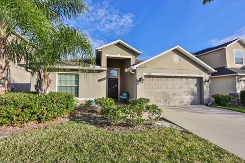 10331 Summer Azure Dr, Riverview, FL 33578 photo 1
