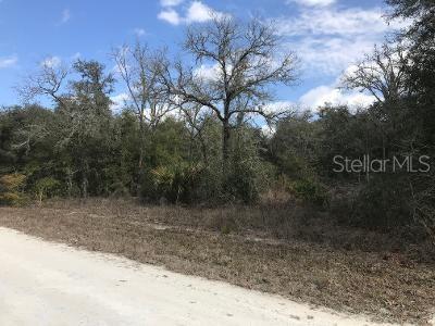6318 Ruby Ave, Webster, FL 33597 photo 1