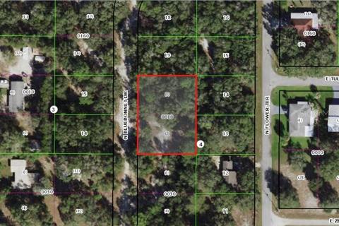 6427 N Bluebonnet Dr, Hernando, FL 34442 photo 1