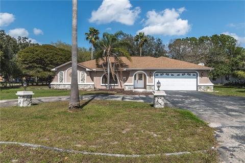 10031 Cara St, Spring Hill, FL 34608 photo 1