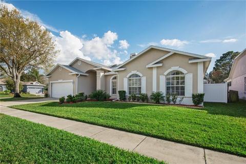 28311 Openfield Loop, Wesley Chapel, FL 33543 photo 1