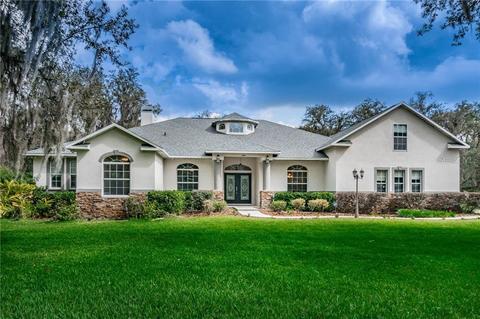 3505 Mcintosh Oaks Ct, Dover, FL 33527 photo 1