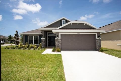 11216 Misty Moss Dr, Wimauma, FL 33598 photo 1