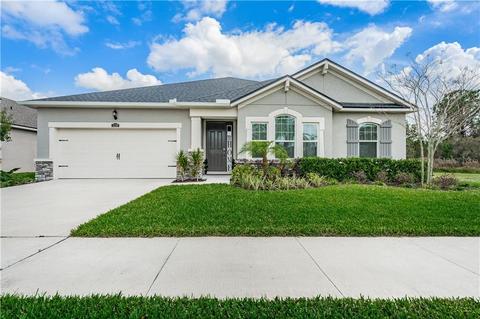 12207 Streambed Dr, Riverview, FL 33579 photo 1