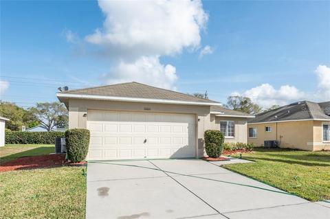 11006 Whitecap Dr, Riverview, FL 33579 photo 1