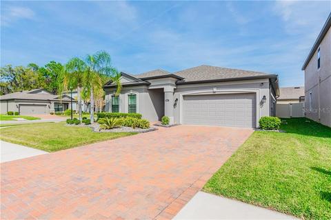 8014 Arbor Park Ln, Riverview, FL 33578 photo 1
