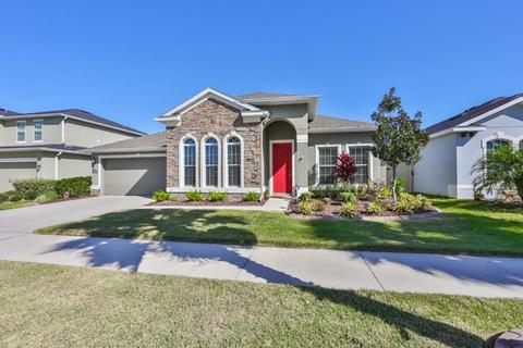 11028 Spring Point Cir, Riverview, FL 33579 photo 1