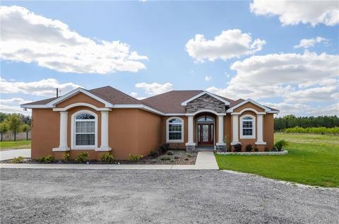 18133 Bethlehem Rd, Lithia, FL 33547 photo 1
