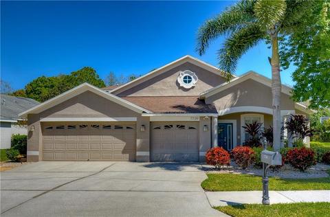 7739 Arelli Dr, Trinity, FL 34655 photo 1