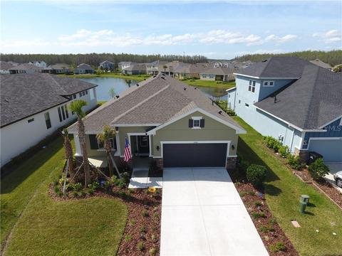 3040 Satilla Loop, Odessa, FL 33556 photo 1