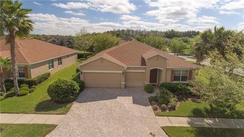 3322 Mapleridge Dr, Lutz, FL 33558 photo 1
