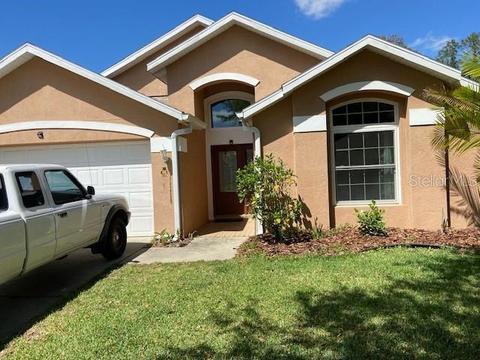 16922 Hawkridge Rd, Lithia, FL 33547 photo 1