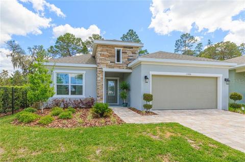 11406 Tanner Ridge Pl, Riverview, FL 33569 photo 1