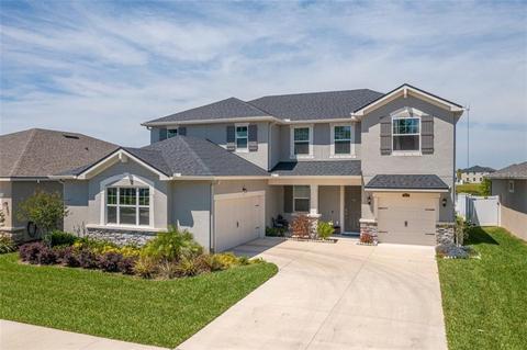 13232 Baby Belle Dr, Riverview, FL 33579 photo 1