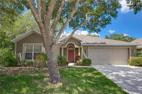 2002 Highview Fall Pl, Brandon, FL 33510 photo 1