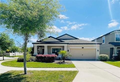11702 Albatross Ln, Riverview, FL 33569 photo 1