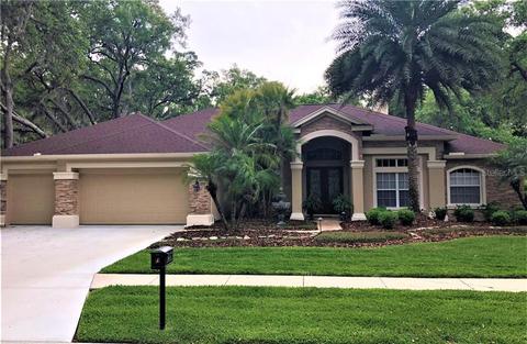 5610 Eagleglen Pl, Lithia, FL 33547 photo 1