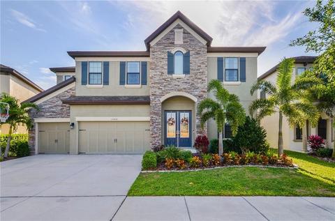 11438 Drifting Leaf Dr, Riverview, FL 33579 photo 1