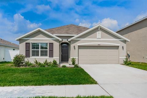 13805 Smiling Daisy Pl, Riverview, FL 33579 photo 1