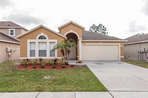 12904 Brookcrest Pl, Riverview, FL 33578 photo 1