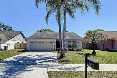 24734 Silversmith Dr, Lutz, FL 33559 photo 1