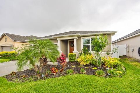 12384 Streambed Dr, Riverview, FL 33579 photo 1