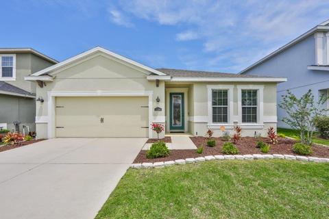 11214 Spring Point Cir, Riverview, FL 33579 photo 1