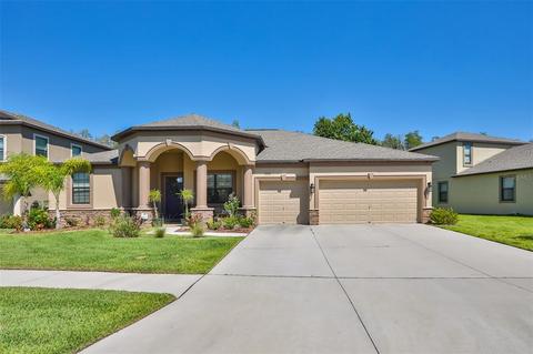 5016 Jagged Cloud Dr, Wimauma, FL 33598 photo 1