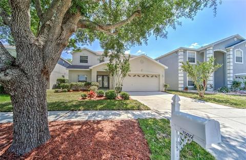 11202 Creek Haven Dr, Riverview, FL 33569 photo 1