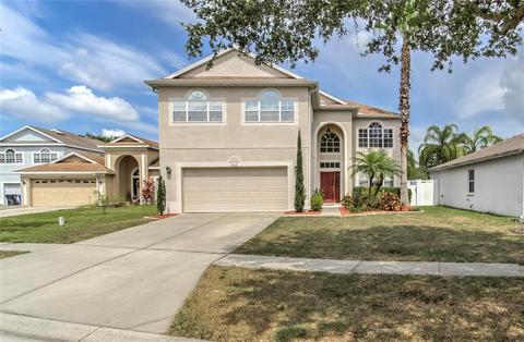 11010 Silver Dancer Dr, Riverview, FL 33579 photo 1